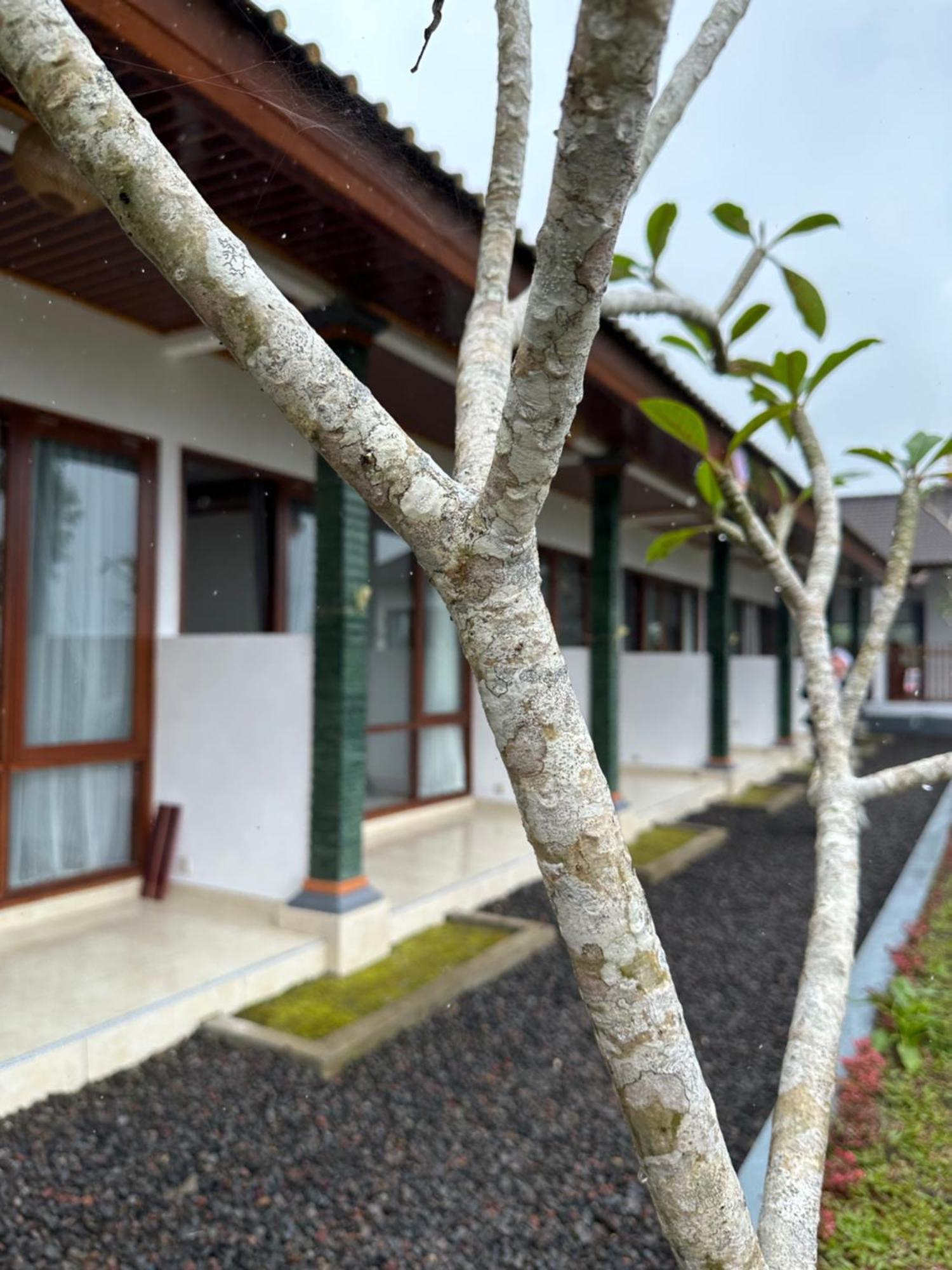 Appartement Bali Basuki Retreat Center à Besakih Extérieur photo